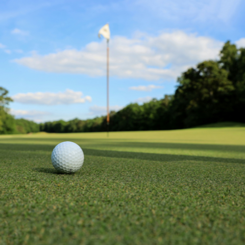 PRO: Golf Event